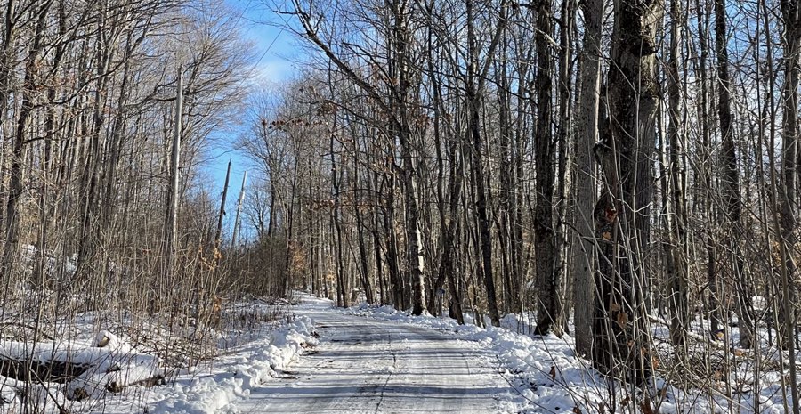 Snow-covered cottage road through the trees near Lake Joseph in Muskoka